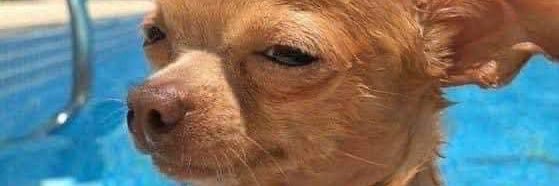 Eng Me Better banner