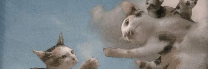 noah_m's profile banner image