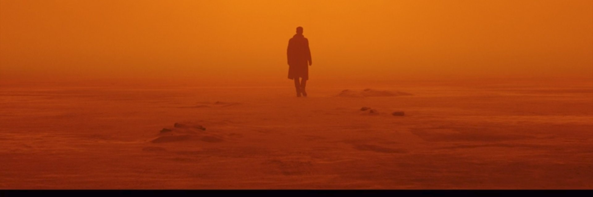 Leonardo Silveira  banner