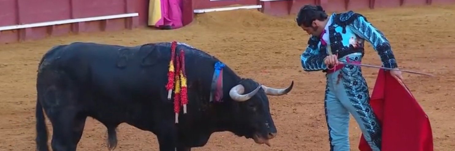 MarioMacario's banner