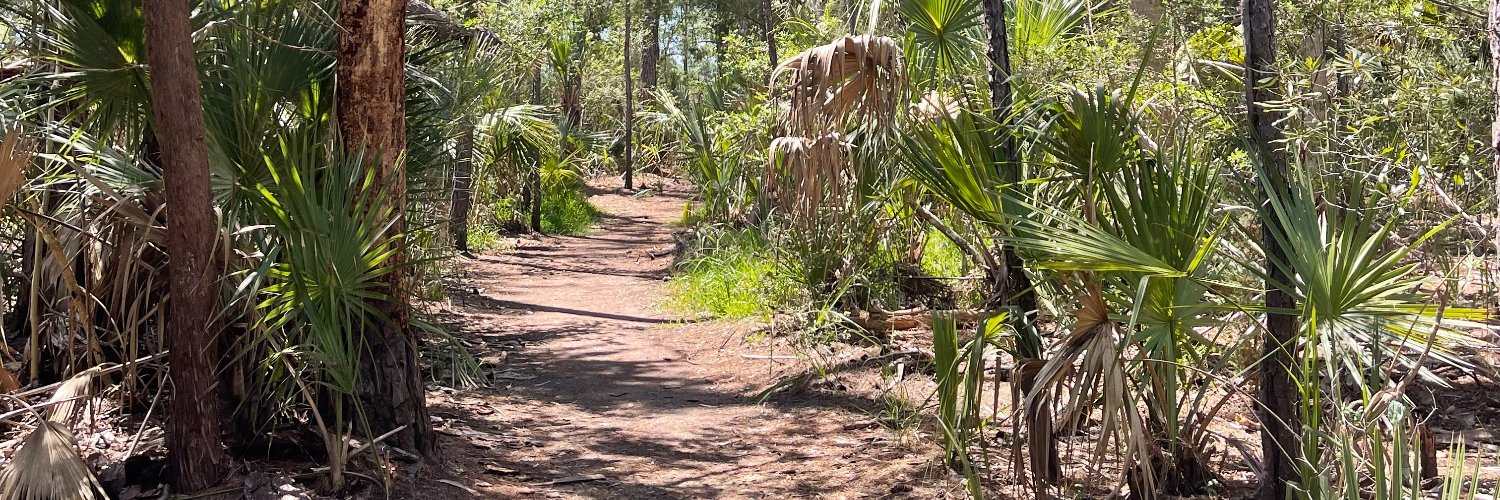 Kiki Luthringshausen banner