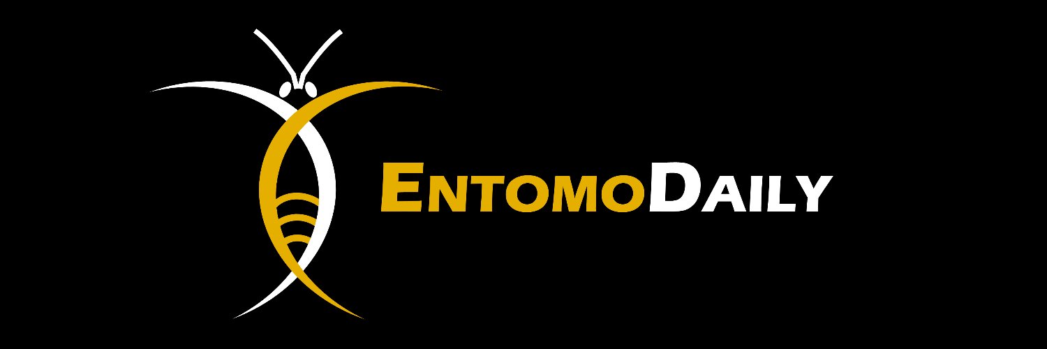 EntomoDaily banner