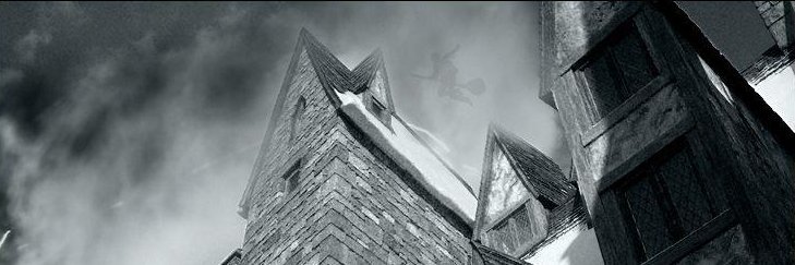 QuackedDuckie's profile banner image