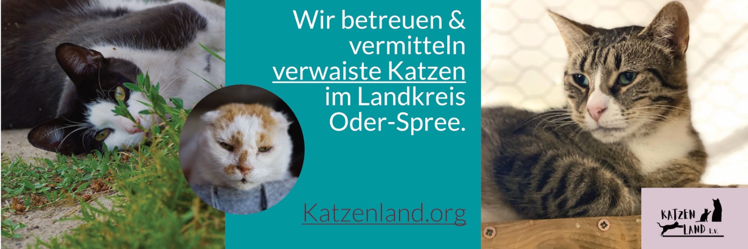 Katzenland Profile Banner