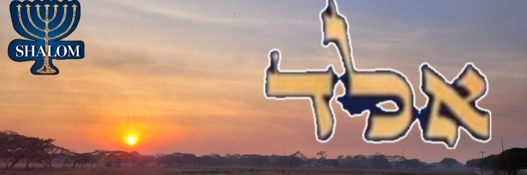 FlorFelismar's profile banner image