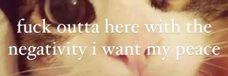 keesmeow_0's profile banner image