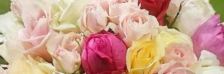 naxko537's profile banner image
