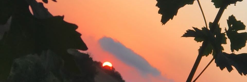 r_omio82's profile banner image