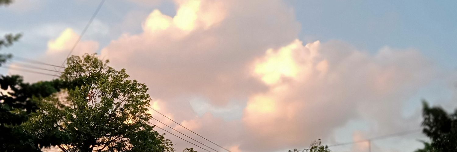 uuchannyan's profile banner image
