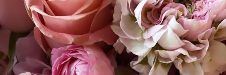 StephanyForero's profile banner image