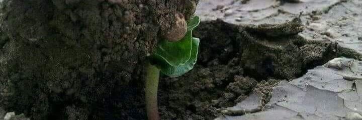 Ananda गर्व से कहो हम हिंदू हैं 🚩🚩🚩 banner