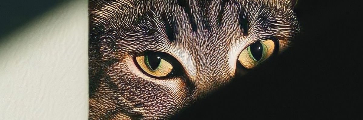 ブライアン banner