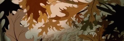 di banner