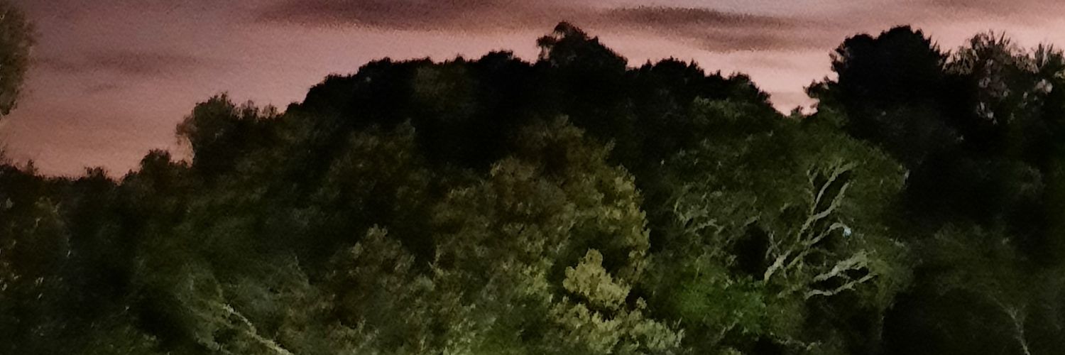 cacaug's profile banner image