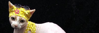 Jade banner