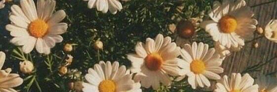 yan__0209's profile banner image