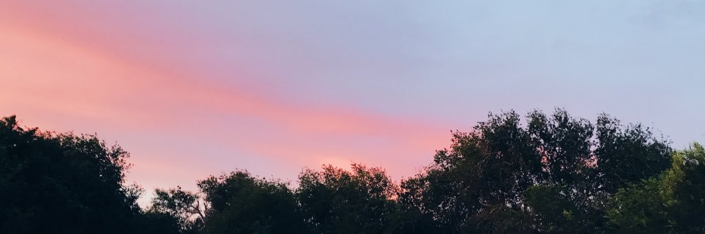 grantsaenz's profile banner image