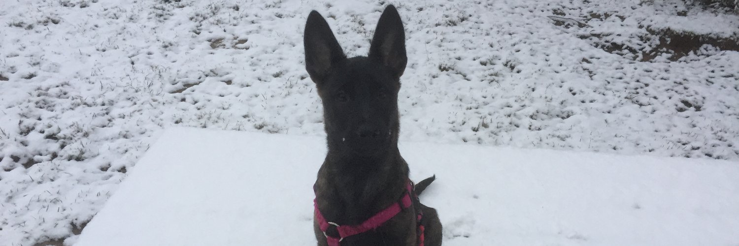 Chambers Hughes banner