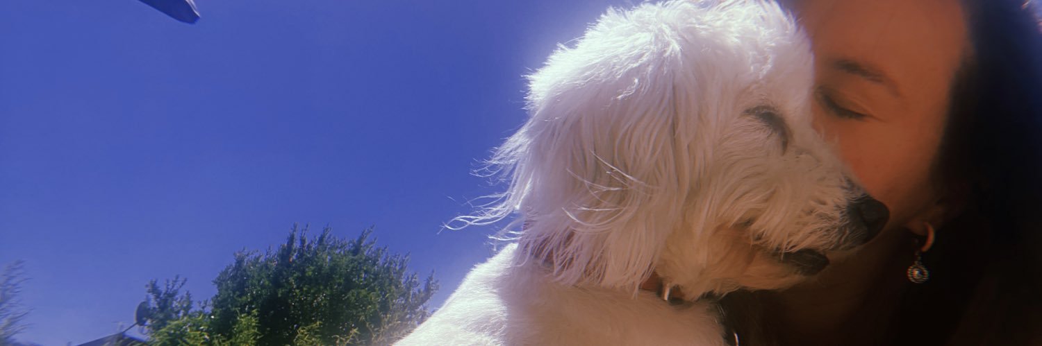 carovmena's profile banner image