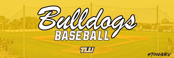 TLU_Baseball Profile Banner