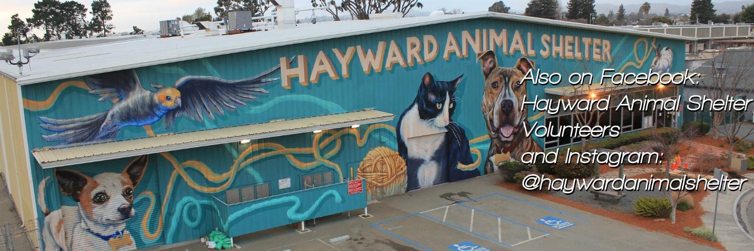 HaywardAnimalShelter banner