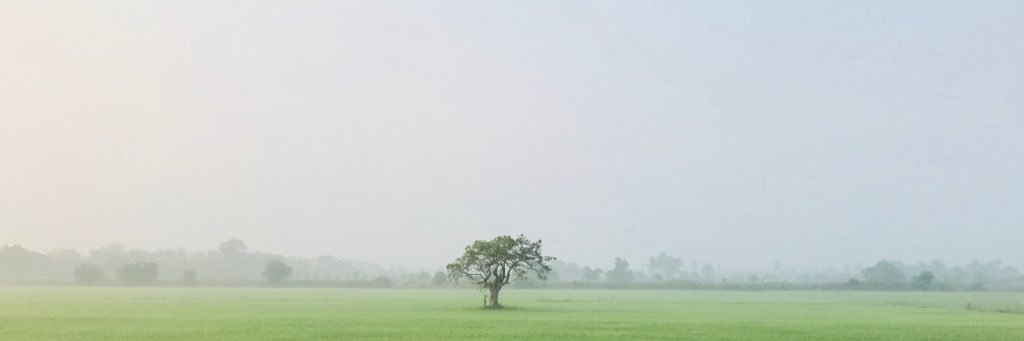 kainuika's profile banner image