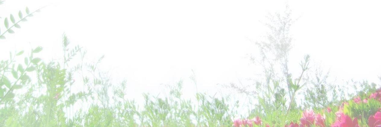 Lua_LilY's profile banner image