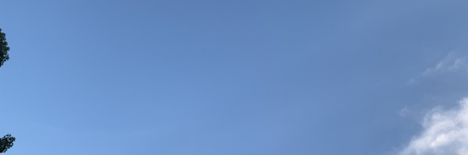 Cappy🌺 banner