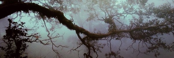 murdocroy Profile Banner