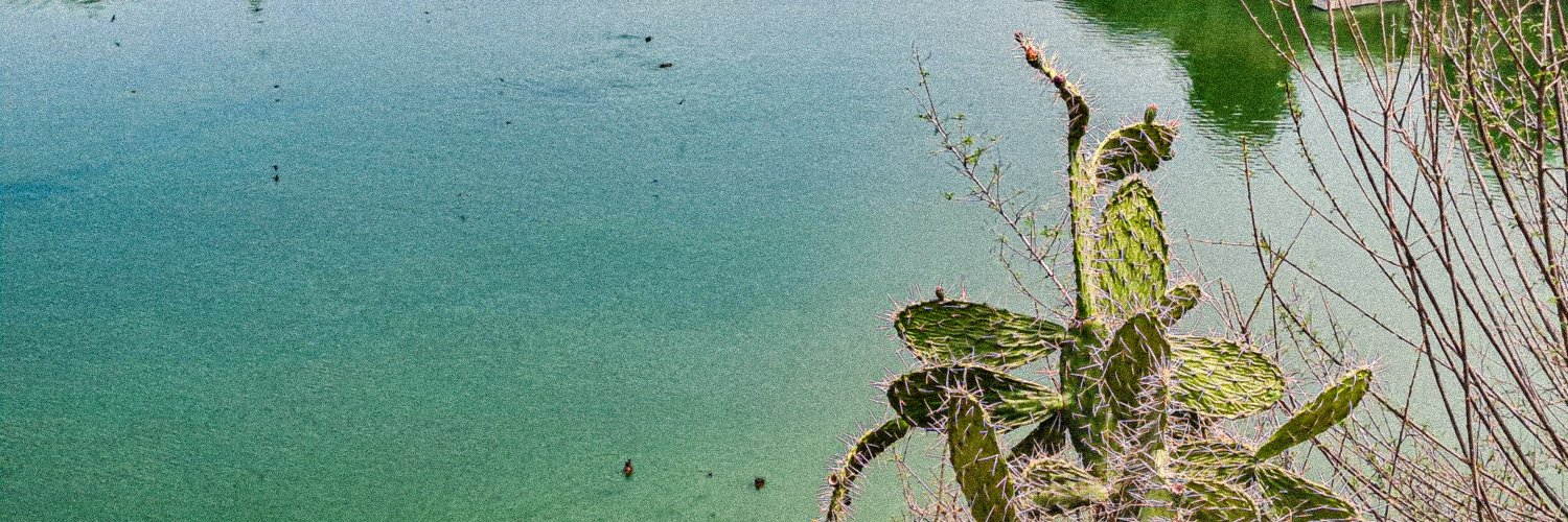 Emma GUILLAUME banner