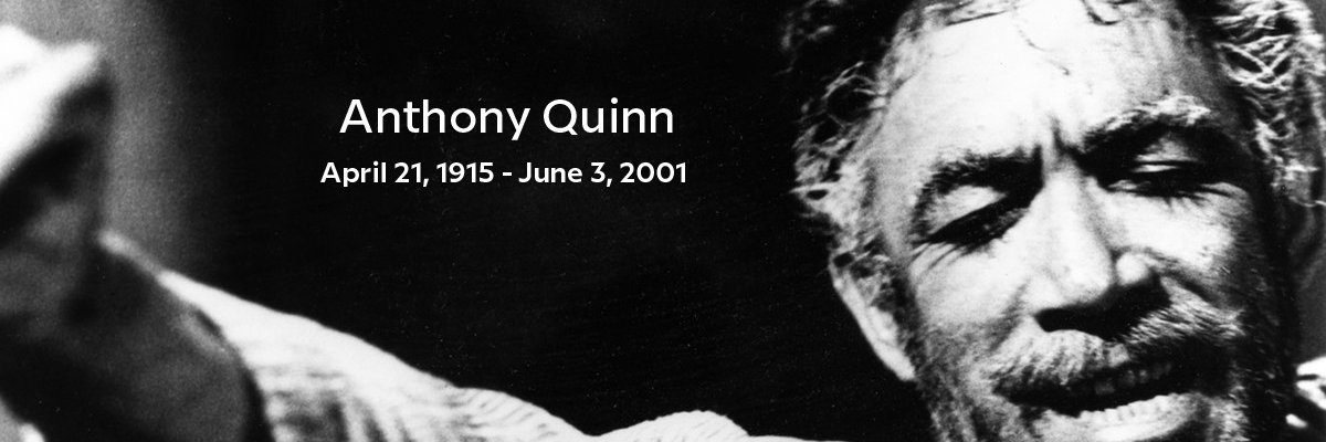 Anthony Quinn Estate banner