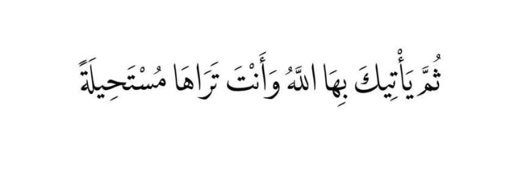 nidaa_ramez's profile banner image