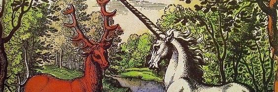 𝔇𝔯𝔞𝔤𝔬𝔫 𝔦𝔫 𝔱𝔥𝔢 ℭ𝔞𝔰𝔱𝔩𝔢 banner