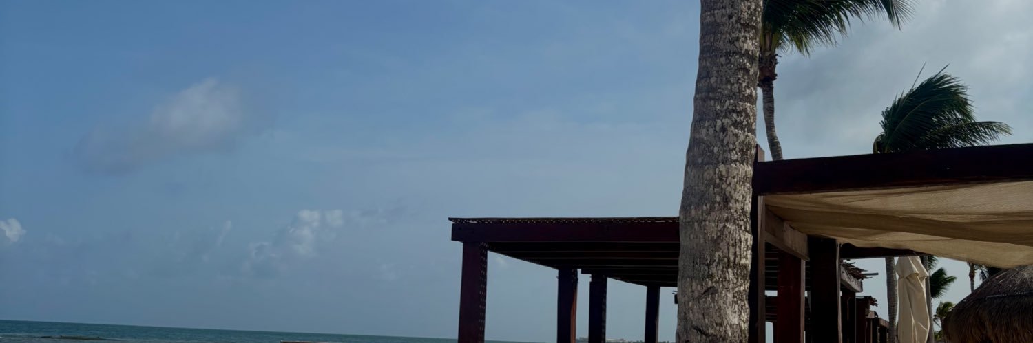 vitedanielaa's profile banner image