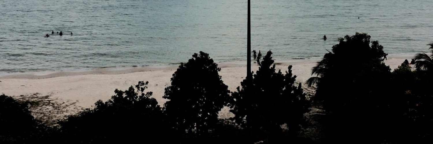 riaPS_'s profile banner image