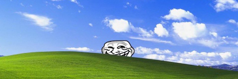 10/10 survivorrrr banner