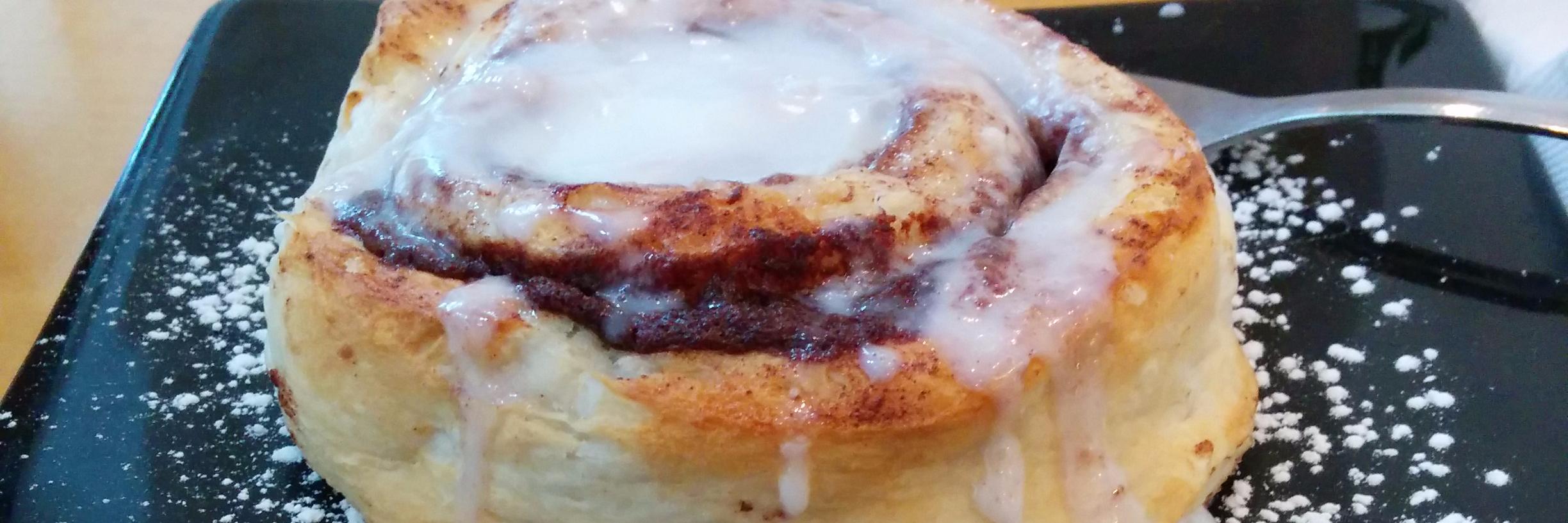 Steve Hameister banner