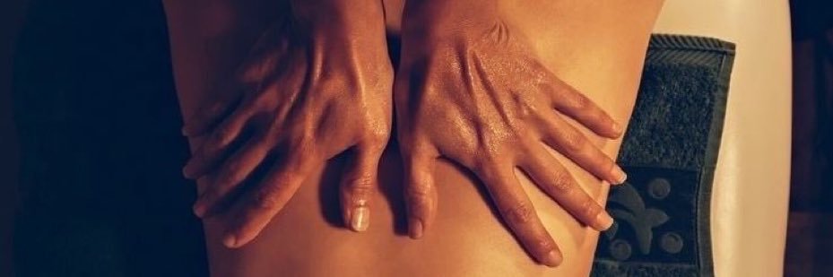 Metaphoremose banner