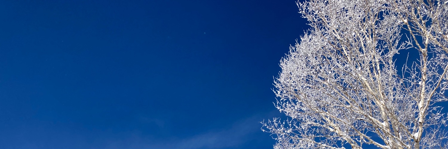 H29785017's profile banner image