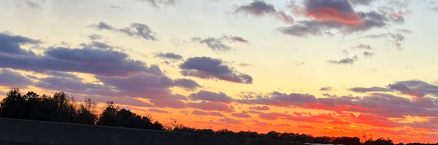 anakflowers's profile banner image