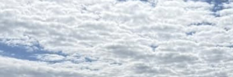 trainertoby's profile banner image