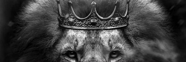 ELPADRE305 Profile Banner