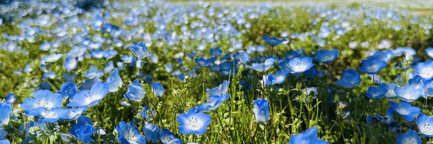 flower1573659's profile banner image