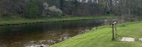 revill_david Profile Banner
