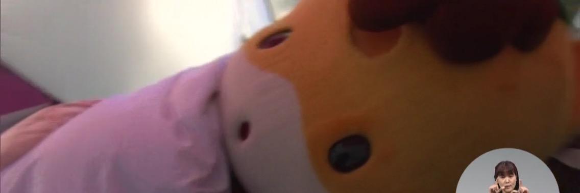 dorakodorako's profile banner image