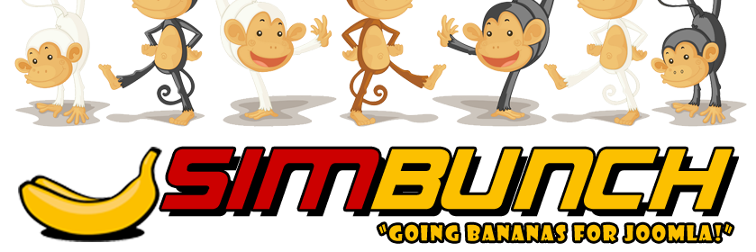 SIMBunch's profile banner image