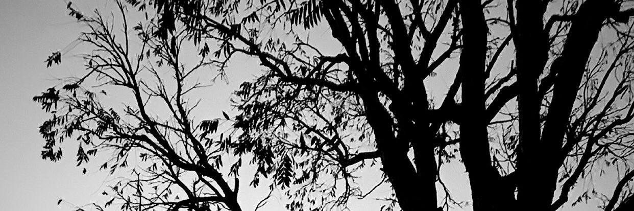 dcneuhaus's profile banner image