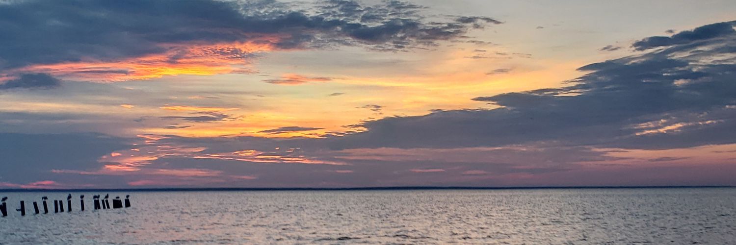 Louis Tabasco banner