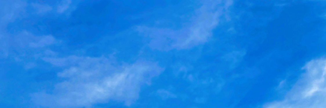 🐼 banner