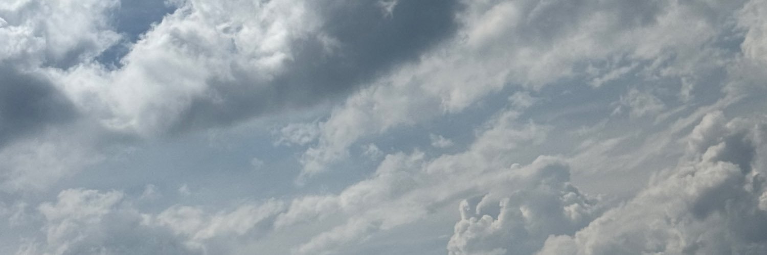 lauravelez308's profile banner image